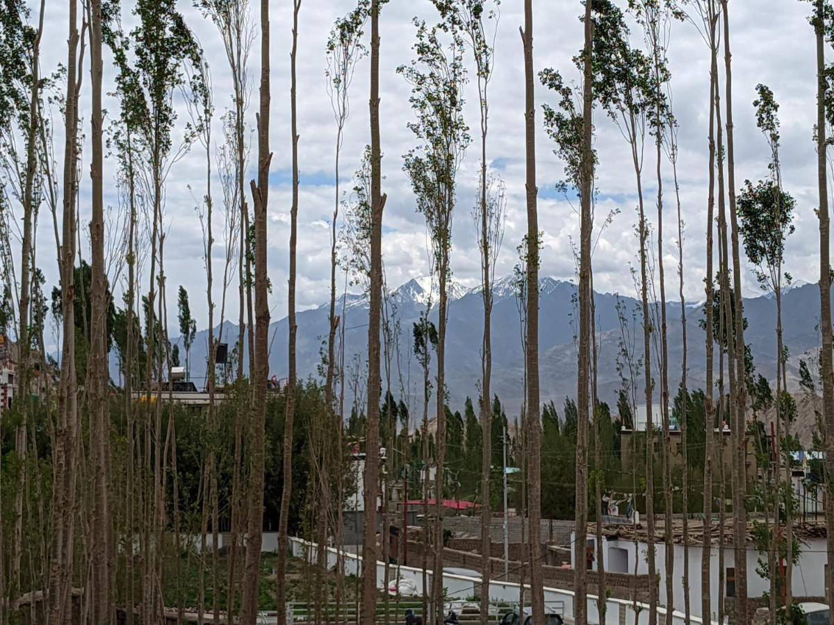 Chandan Guest House Leh Buitenkant foto