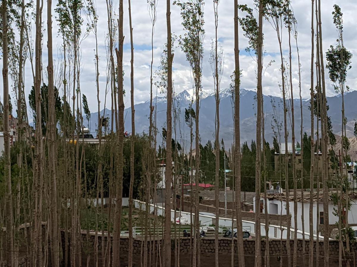 Chandan Guest House Leh Buitenkant foto